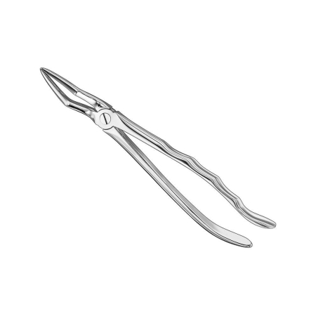 Extracting forceps, anat.
